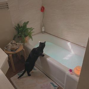 性饥渴老熟男BBw
